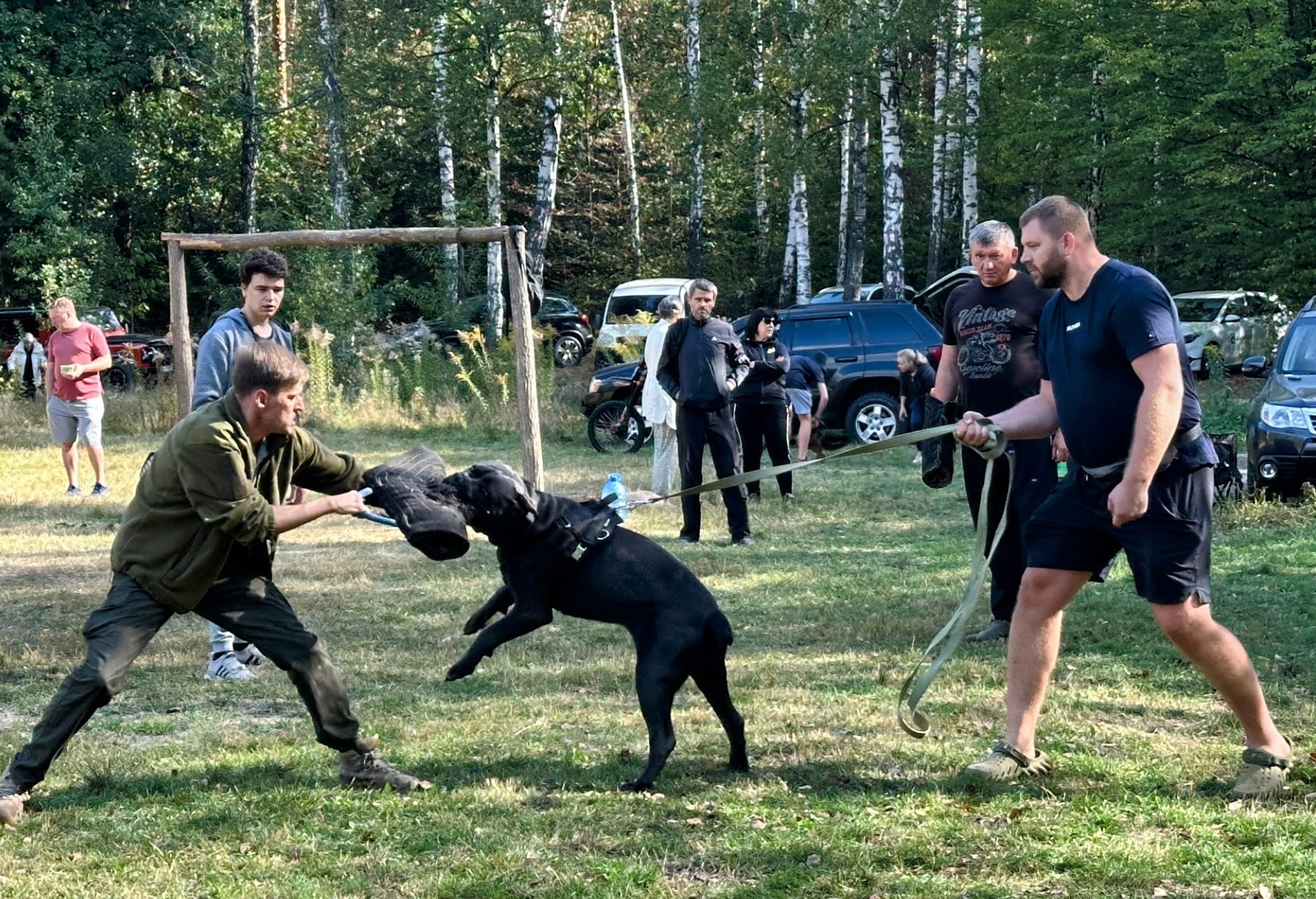 Дресирувальний майданчик кінологічного клубу у Києві